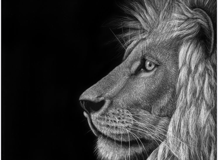 Lion2